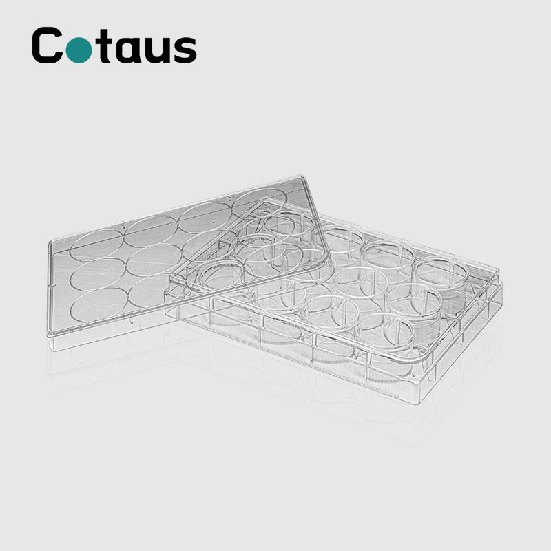 12 Well Cell Çand Plate