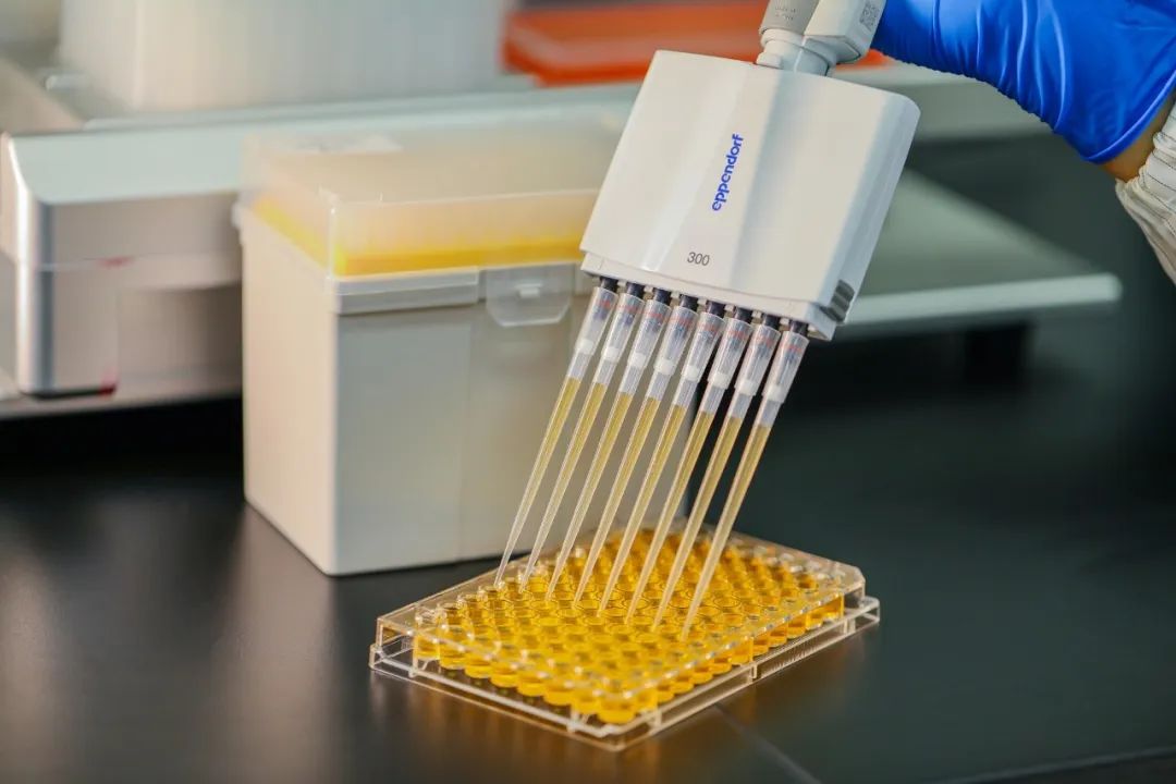 Serişteyên pipetê yên rast ji bo we çi ne?